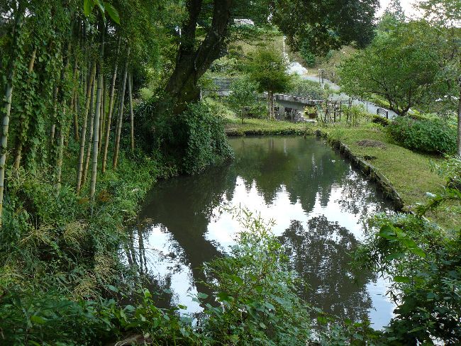 �b�ߎs�F���q���E���m�w��