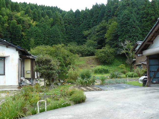 �b�ߎs�F���q���E���m�w��