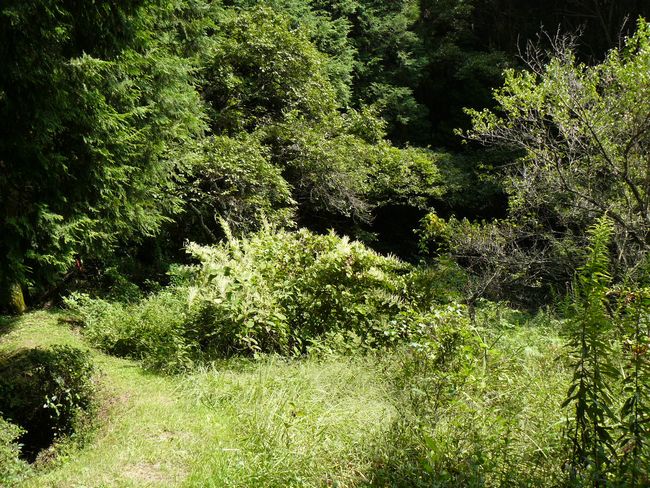 �b�ߎs�F���q���E���q��i�����j