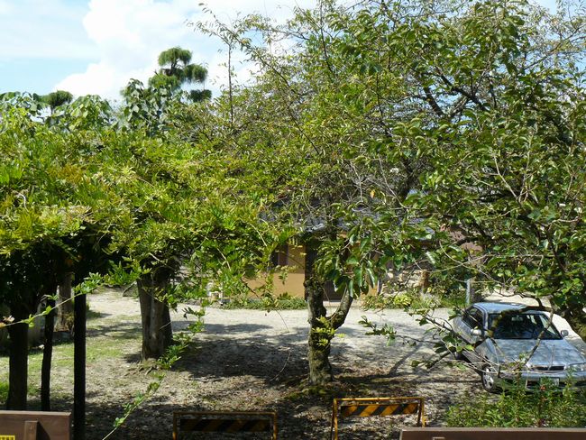 �b�ߎs�F���q���E���R�����~��