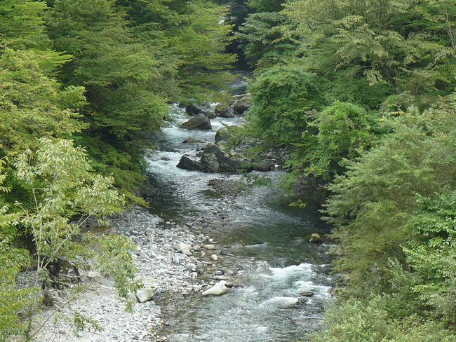 ��������F������