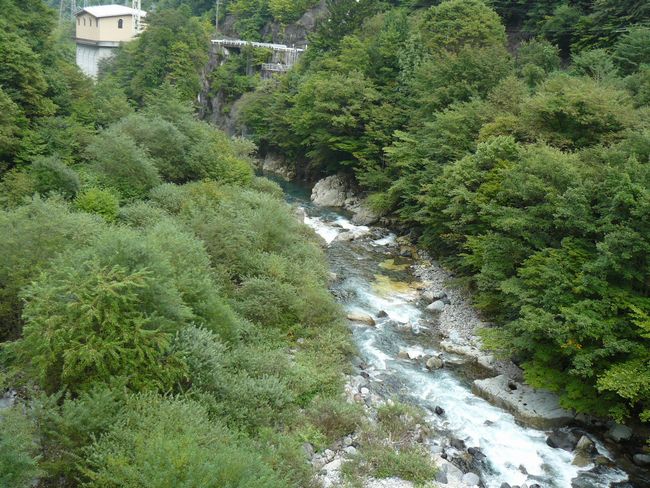 ��������F������