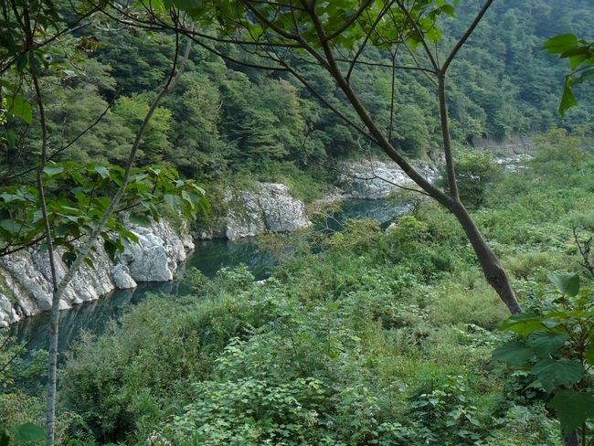 ���R����