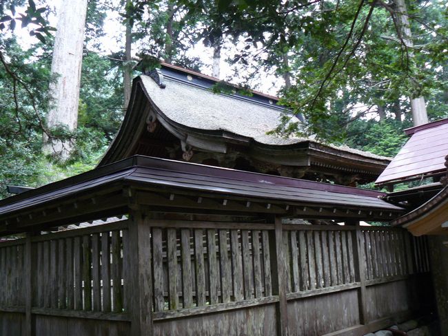 �c�t�씪���{