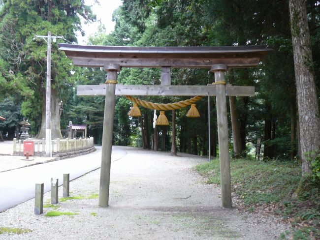 �c�t�씪���{