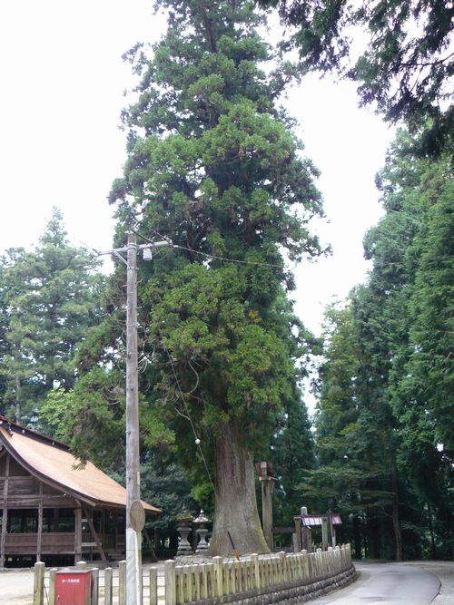 �c�t�씪���{