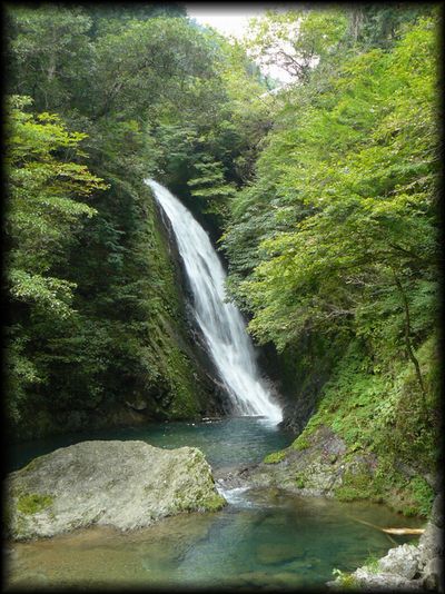 �{����������ꂽ������B�e�����S�i�摜