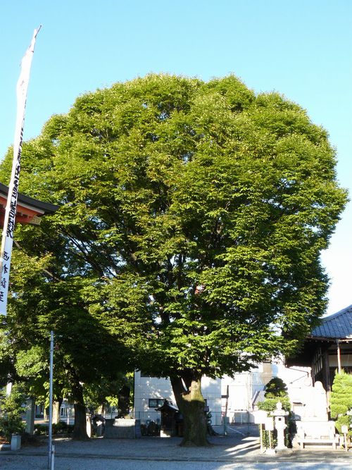 �򕌎s�E���]��