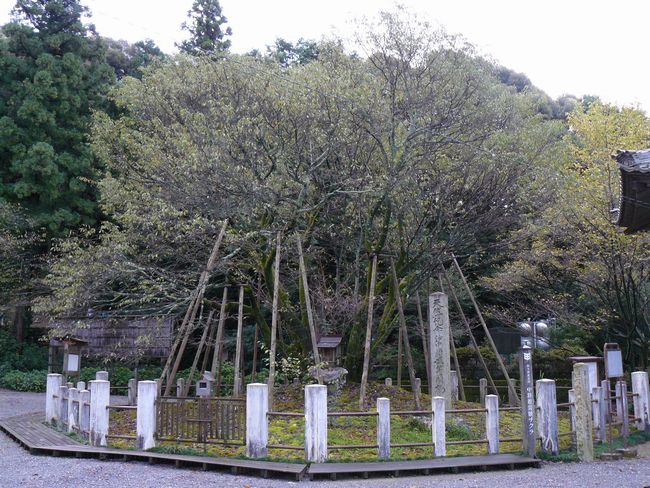 �򕌎s�E�萬��