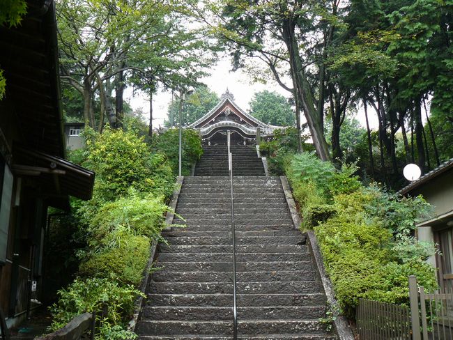 �򕌎s�E�썑�V��