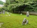 真長寺庭園では苔の中に印象深い庭石を点在しています
