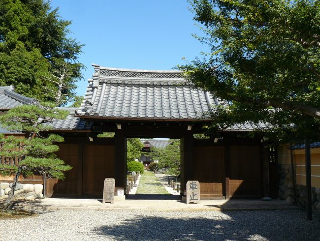 �򕌎s�E������