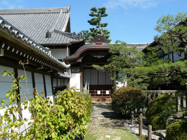 �򕌎s�E������