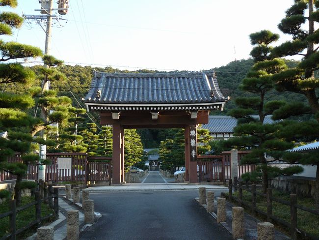 �򕌎s�E������