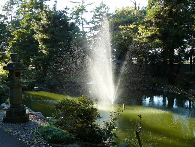 �_�쎛�i�P�w�@�j