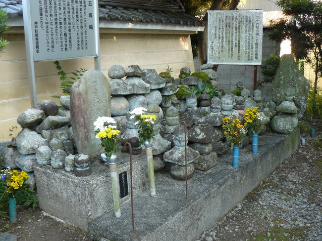 �_�쎛�i�P�w�@�j