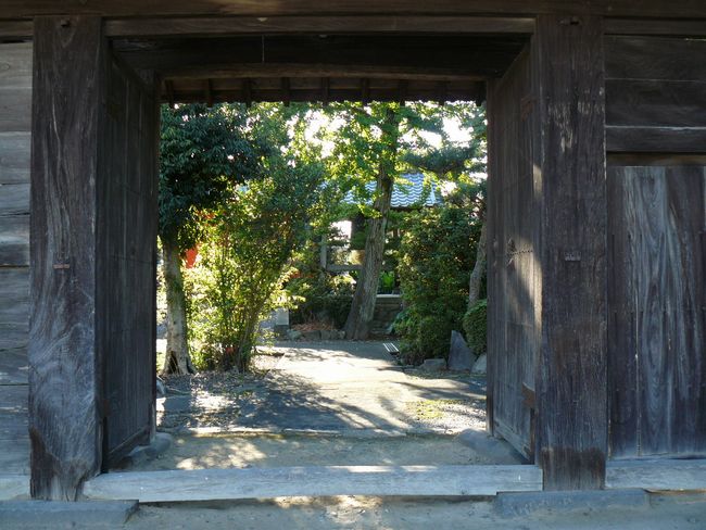 �������i���w�@�j