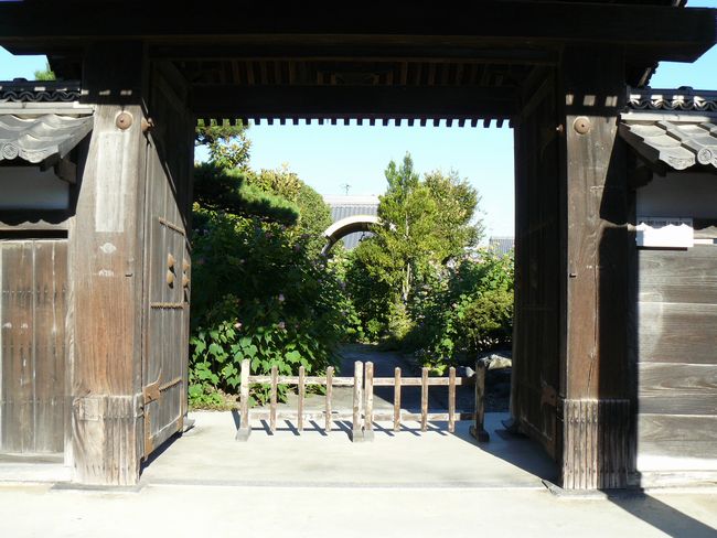 �ڗ�����