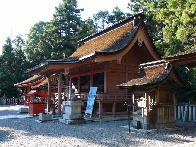 ���g�_�Ёi��{�j