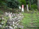 円通閣参道石段沿いにある石垣の上に安置されている石仏群