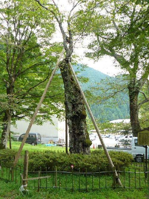 �S��s�E�~�ʊt