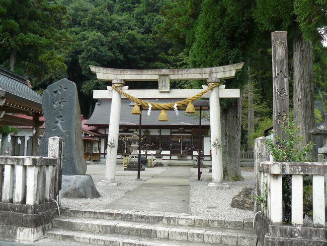 �����_��