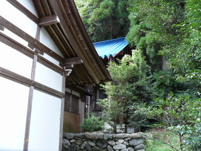 �����_��