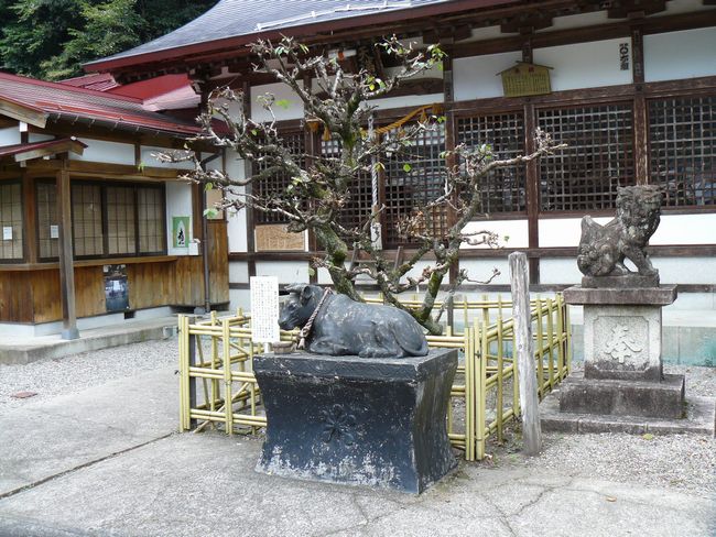 �����_��