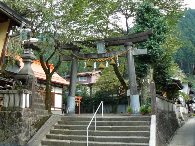 ���g�_��