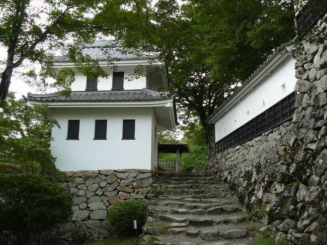 �S�㔪����