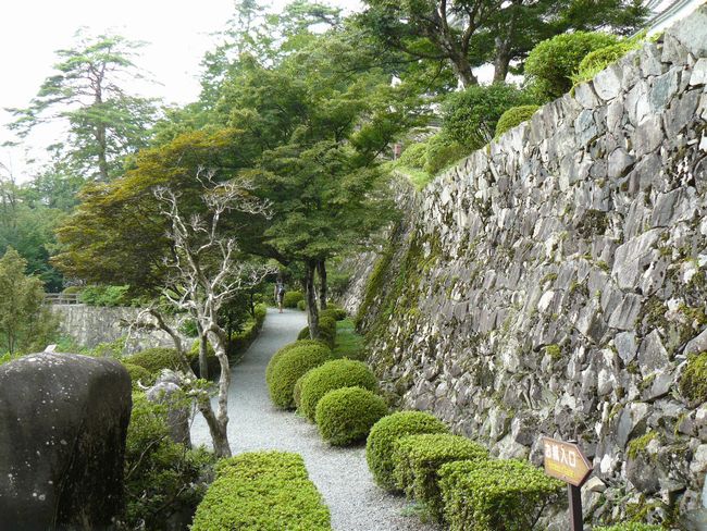 �S�㔪����