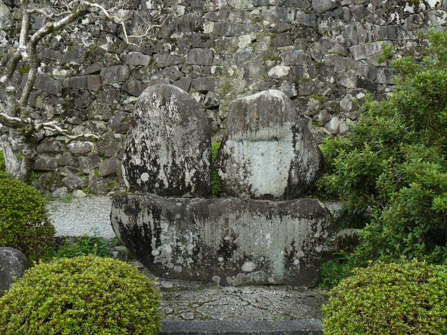 �S�㔪����