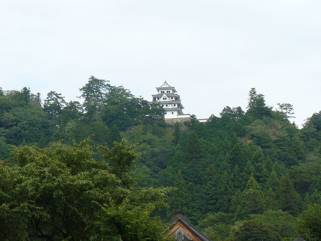 �S�㔪����