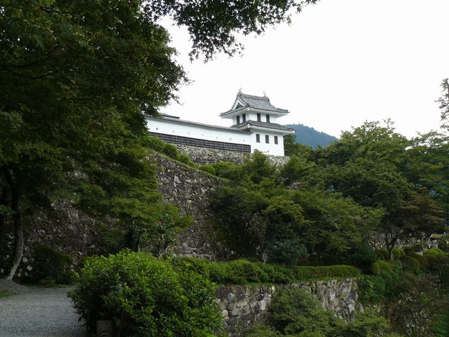 �S�㔪����