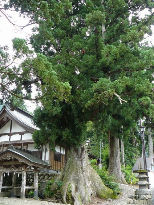 �S��s�E���R����_��