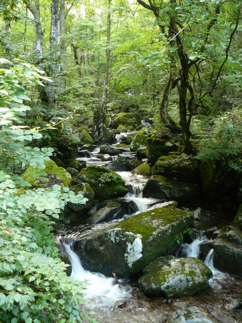 ��ˎs�E�F�Í]�l�\����