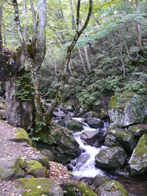 ��ˎs�E�F�Í]�l�\����