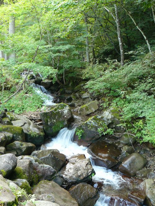 ��ˎs�E�F�Í]�l�\����