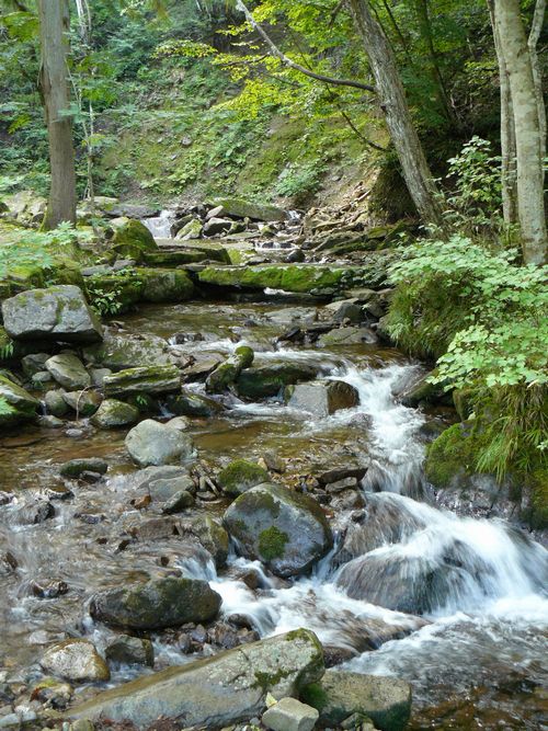 ��ˎs�E�F�Í]�l�\����