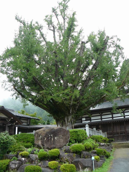 ��ˎs�E��@��