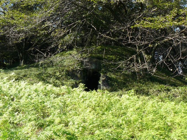 �萬���Õ�