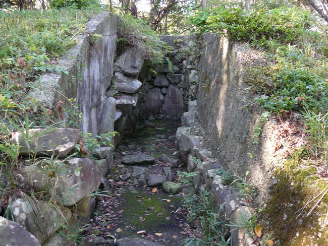 �萬���Õ�