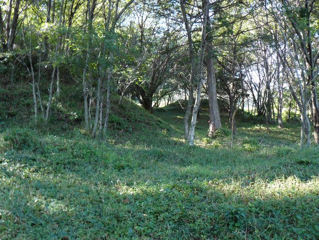 �萬���Õ�