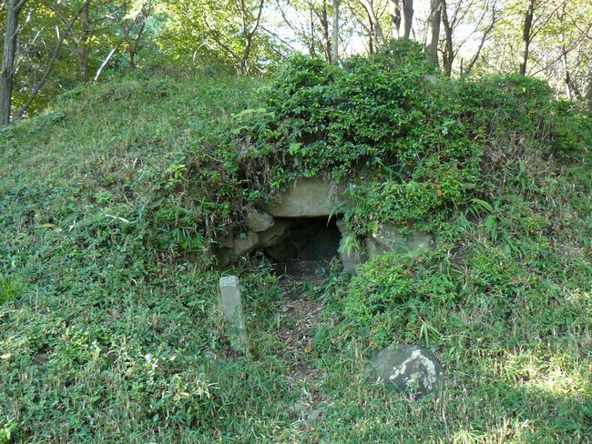 �萬���Õ�