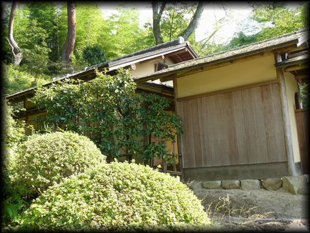 �ˎ�@�䒃����A�͉z���ɎB�e�����摜