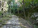 岩村城の鬱蒼と茂る木々の間に貫く石畳と一之門