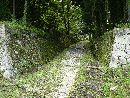 岩村城の苔むした石垣が細く長く続く登城路
