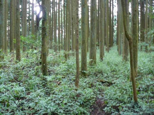 �b�ߎs�F�⑺���E�⑺��