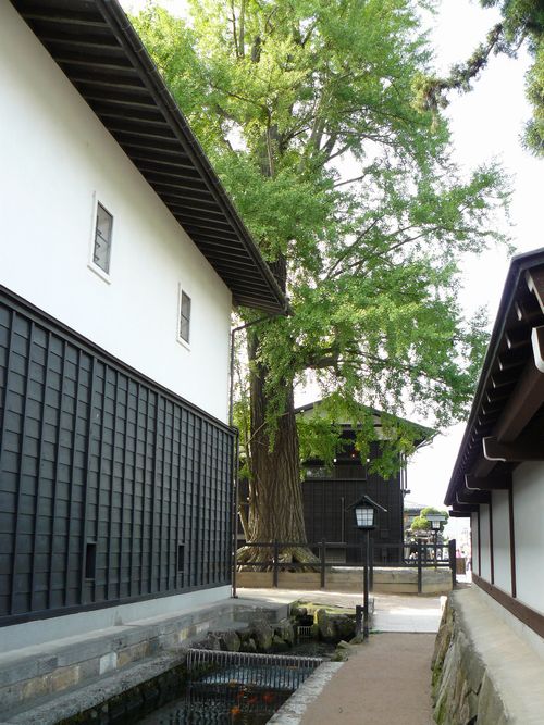 ��ˎs�E�Ð쒬�E������