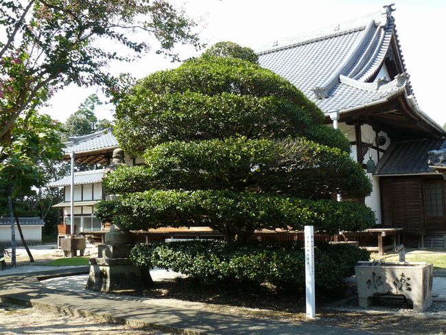 �䐓���E������